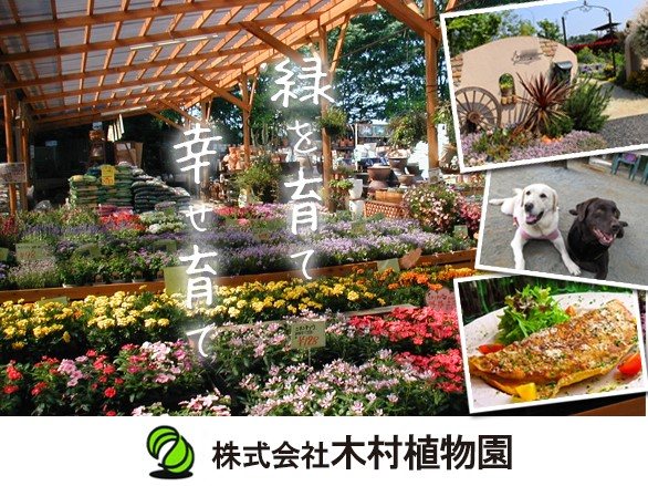木村植物園の写真