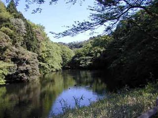 散在ガ池森林公園の写真