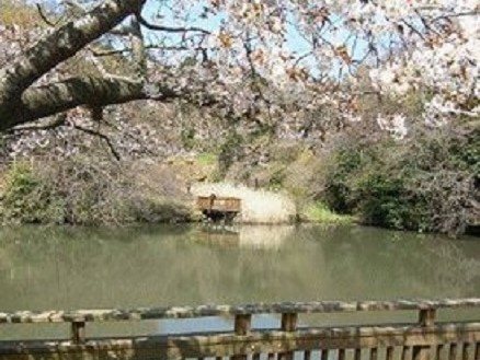 夫婦池公園 アウトドア 公園 鎌倉市 湘南ナビ 夫婦池公園 アウトドア 公園 鎌倉市 湘南ナビ