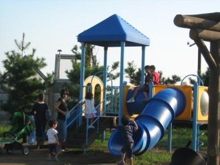 鎌倉海浜公園 由比ガ浜地区 アウトドア 公園 鎌倉市 湘南ナビ