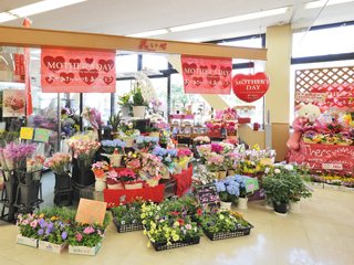 花いせ ヨークマート伊勢原店 花 ガーデニング 伊勢原市 湘南ナビ