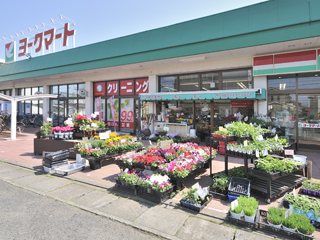 花いせ ヨークマート鴨宮店 花 ガーデニング 小田原市 湘南ナビ