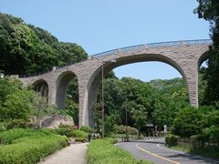 七沢森林公園の写真