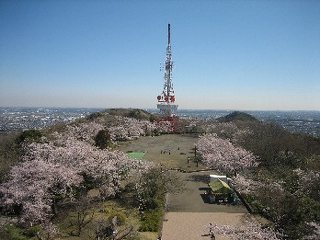 湘南平 高麗山公園 名所 観光 平塚市 湘南ナビ