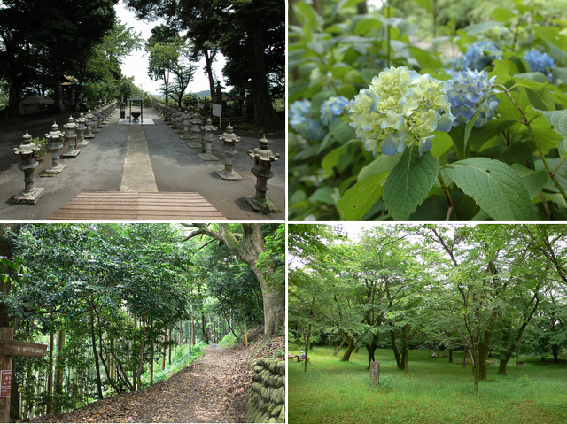 飯山白山森林公園の写真