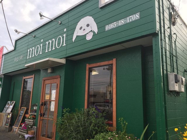 Dog cafe moi moiの写真