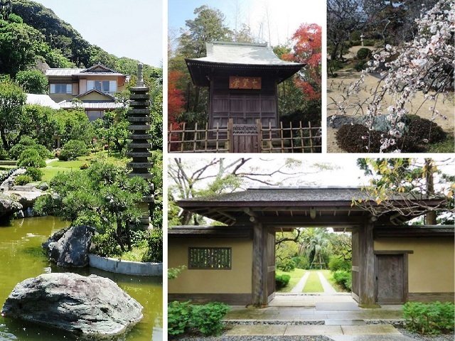 県立大磯城山公園・旧吉田茂邸地区の写真