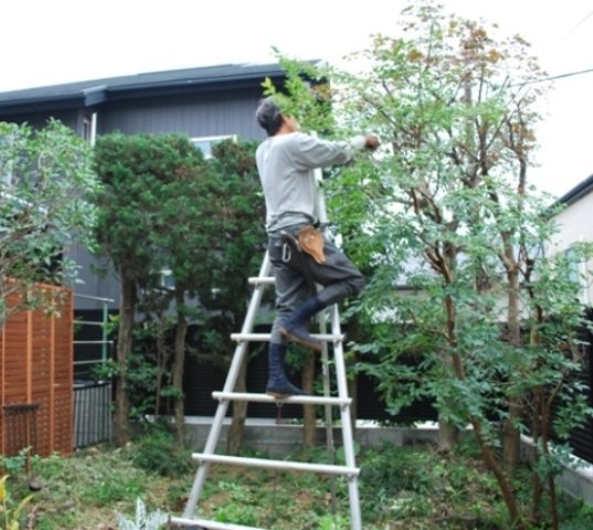 湘 Asis グリーンサポート 暮らしの役立ち情報 藤沢市 湘南ナビ 湘 Asis グリーンサポート 暮らしの役立ち情報 藤沢市 湘南ナビ