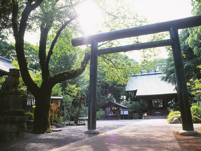 報徳二宮神社の写真