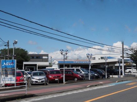 ネッツトヨタ神奈川 ウエインズ茅ヶ崎中央店の写真