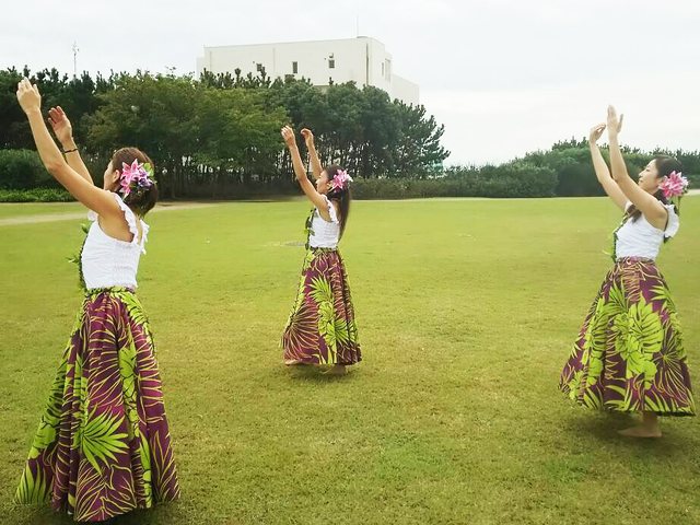 ハーラウ メハナ カプゥヴァイ 〜ミキ〜の写真