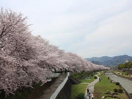 みずなし川緑地の写真