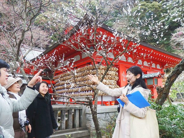 花をたずねて鎌倉歩きの写真
