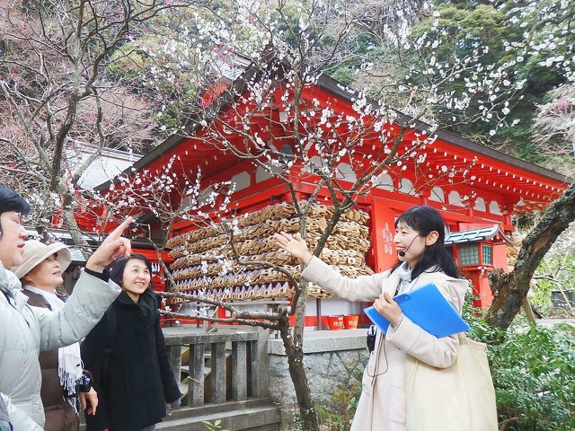 花をたずねて鎌倉歩き 名所 観光 鎌倉市 湘南ナビ 花をたずねて鎌倉歩き 名所 観光 鎌倉市 湘南ナビ