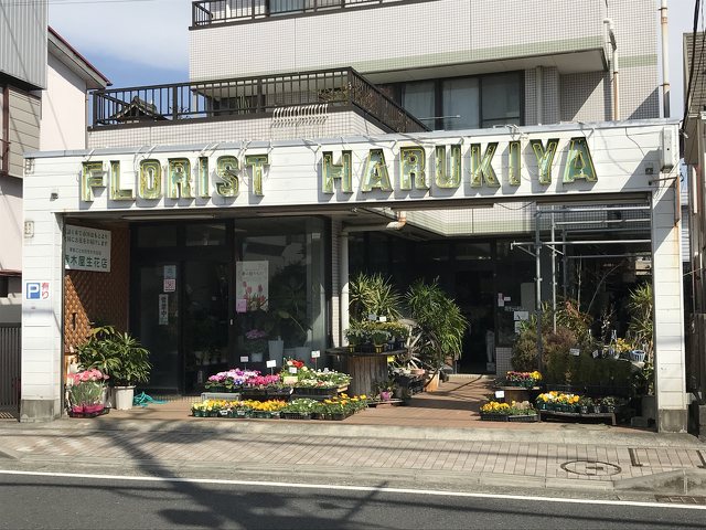 春木屋生花店 本店の写真