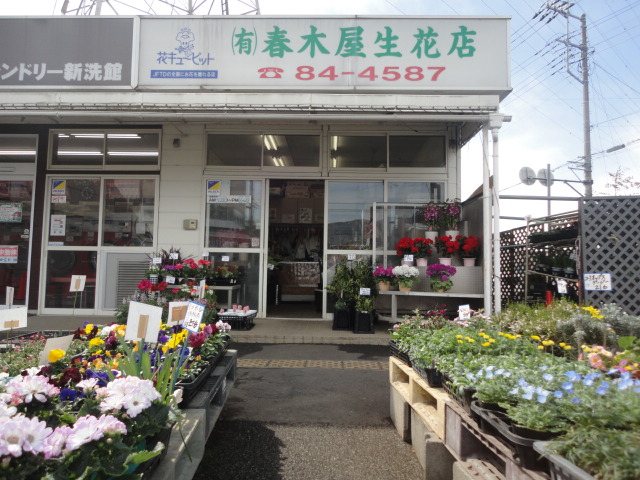 春木屋生花店 マックスバリュ秦野東田原店の写真