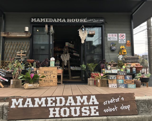 MAMEDAMA HOUSEの写真