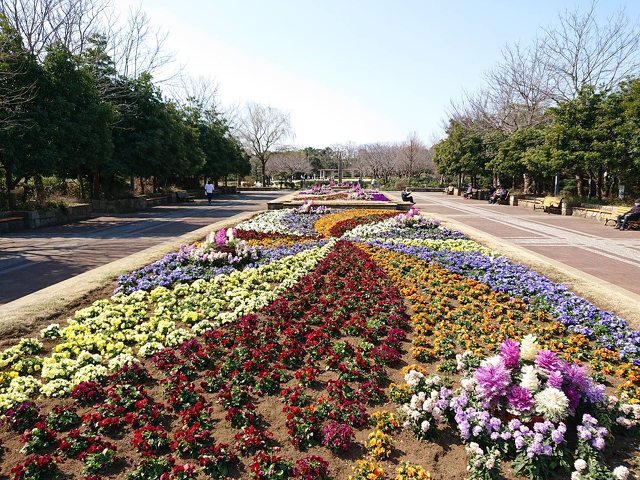 長久保公園都市緑化植物園の写真