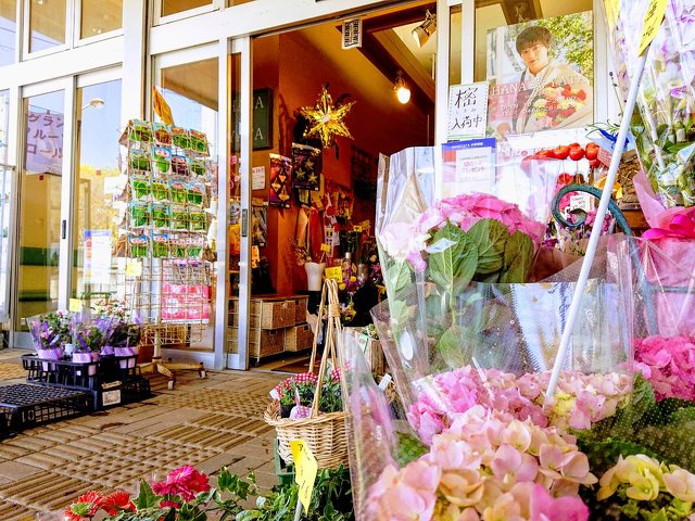 神奈川県の花 ガーデニングのお店 スポット 湘南ナビ