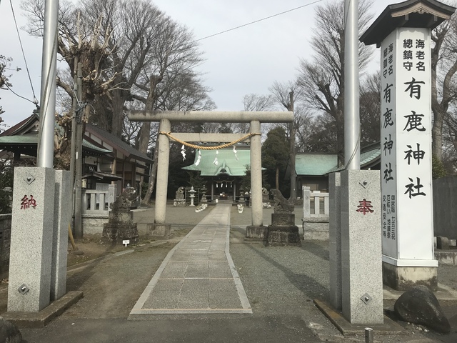 有鹿神社の写真