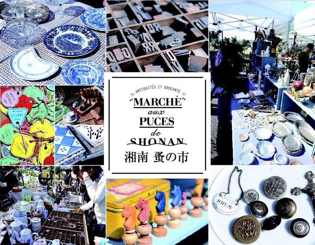 湘南 蚤の市 大型イベント 観客動員数千人 野外 カルチャー 藤沢市 イベント情報 湘南ナビ