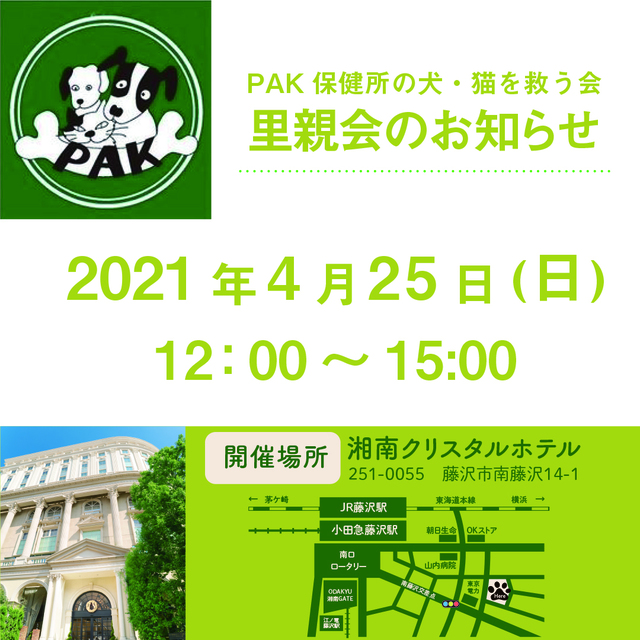 Paws Adoption かながわ主催 里親会 野外 ボランティア チャリティー ペット 動物 藤沢市 イベント情報 湘南ナビ Paws Adoption かながわ主催 里親会 野外 ボランティア チャリティー ペット 動物 藤沢市 イベント情報 湘南ナビ