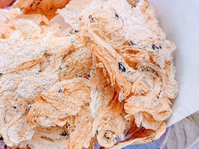 くらぽんさんのあさひ本店江の島丸焼きたこせんべい 藤沢善行店へのクチコミ 湘南ナビ