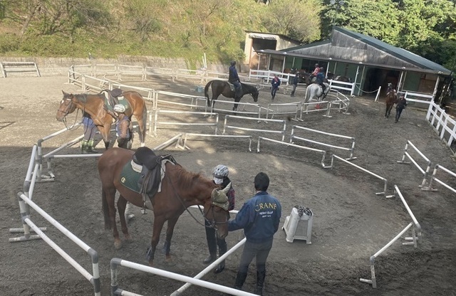 クラブ クレイン 神奈川 乗馬